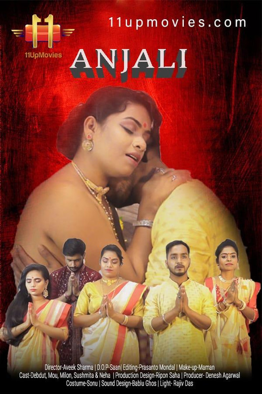 Anjali (2020) Hindi 11upmovies Web Series 720p HDRip x264 300MB Download