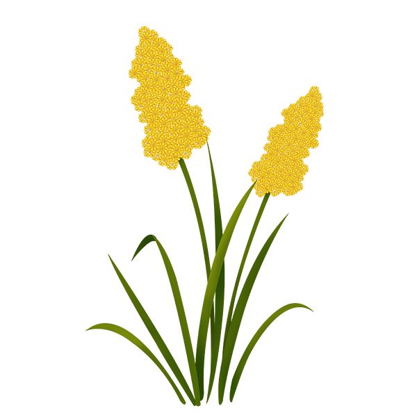 KBK_SpringSurprise (50)