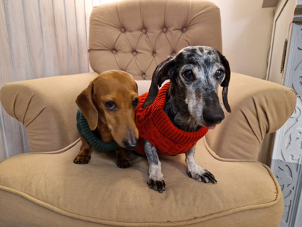 [Image: 20230101-181047.jpg]