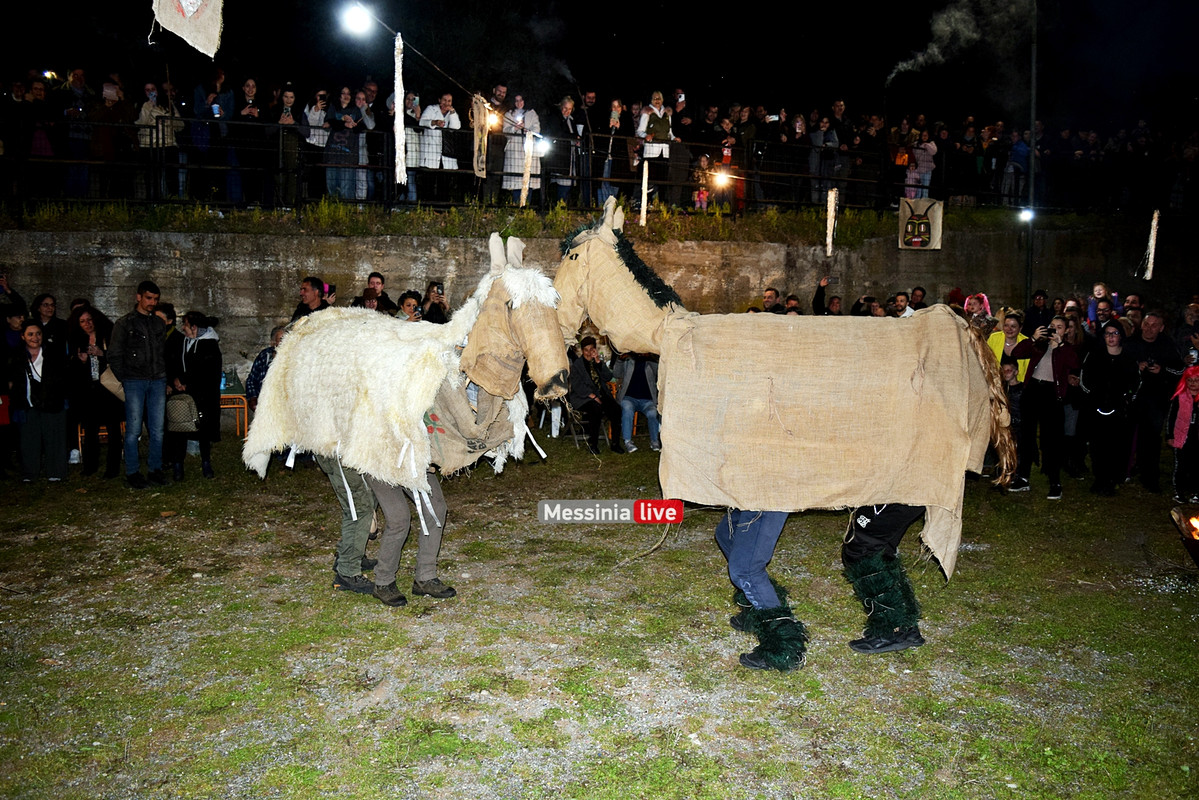 ελαιοχωριDSC_0661