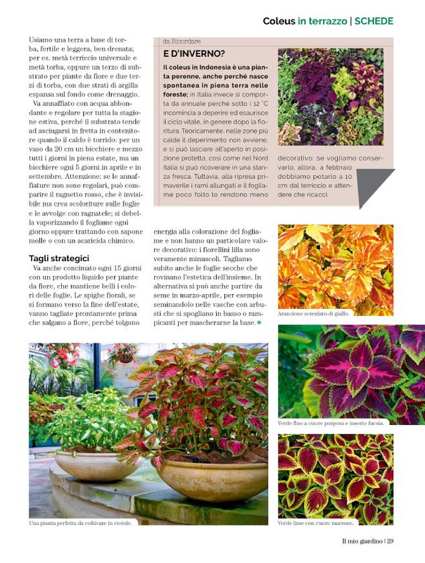 Il Mio Giar GIu-Lug 2023 (4)