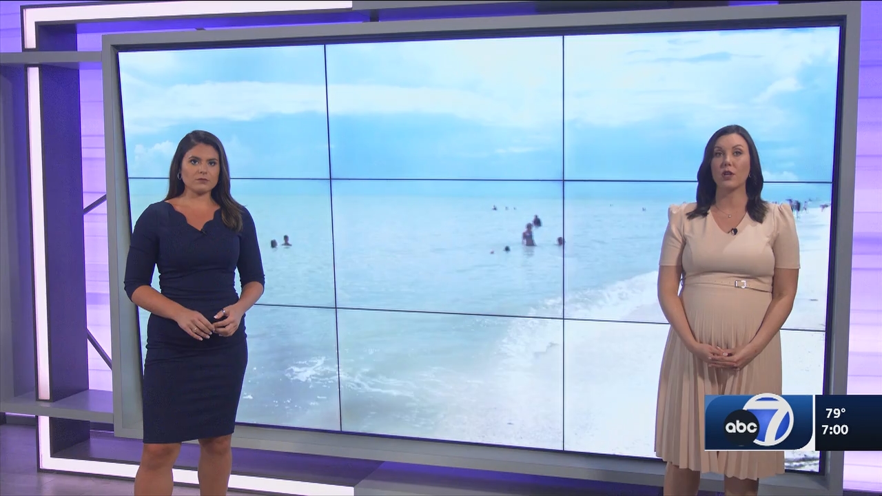 09.04 - 00.00.00 - ABC7 7O'Clock News  ᴺᵉʷ..ts_snapshot_03.34.749