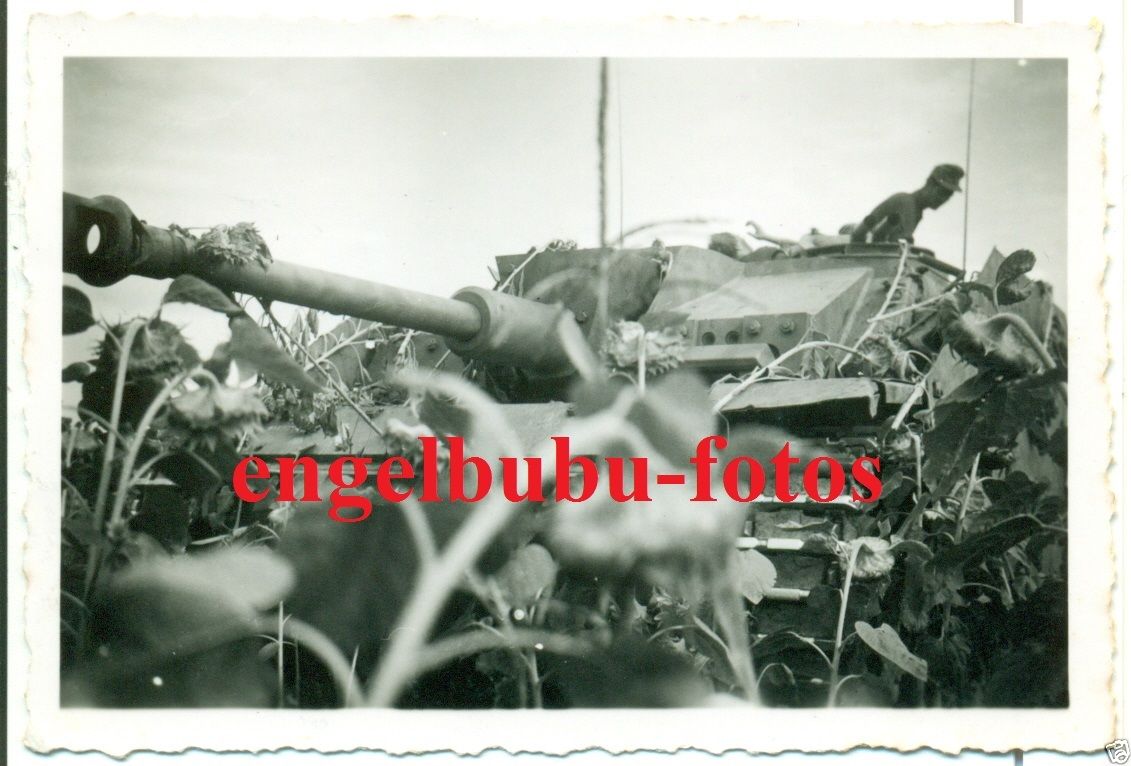 STURMGESCHÜTZ - STUG - Selt. LANGROHR   SEITENSC