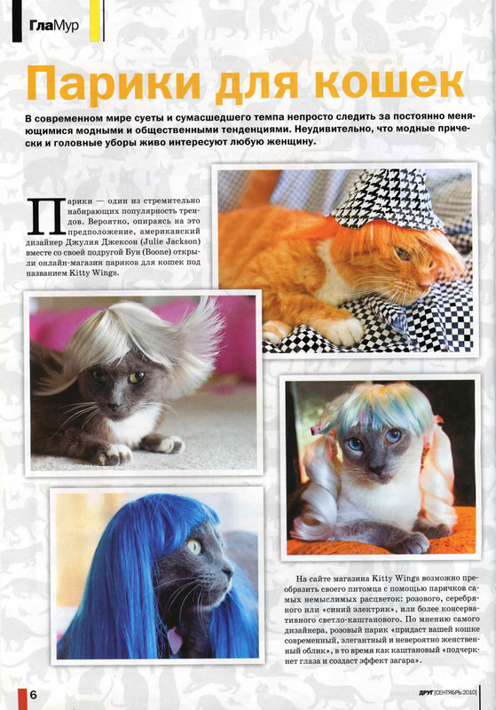 Друг кошек № 9 2010-7