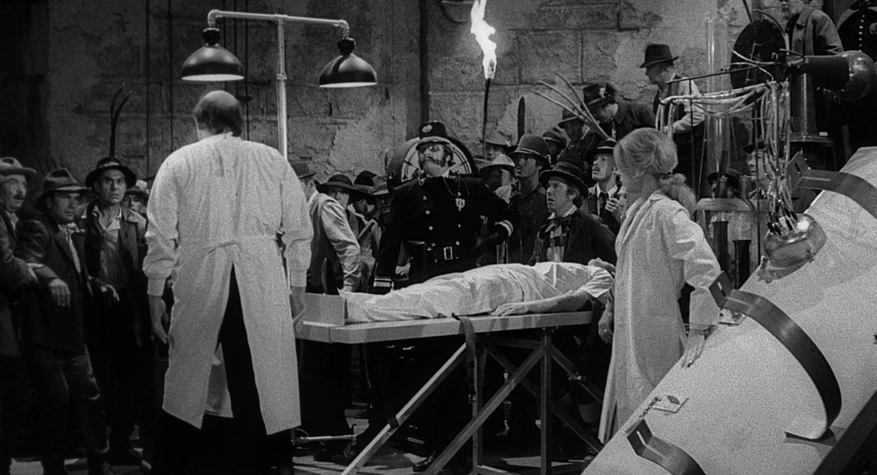 Young Frankenstein 1974 (1080p x265 10bit Tigole