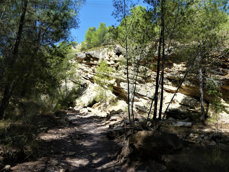 RUTA DE LAS CARAS EN LA RAMBLA DEL CIGARRON-23-7-2020 - Murcia y sus pueblos-1991/2022 (22)