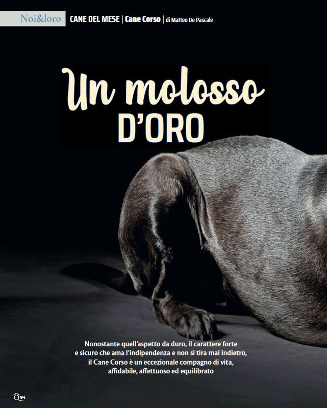 QuattroZampe Ott 2023 (1)