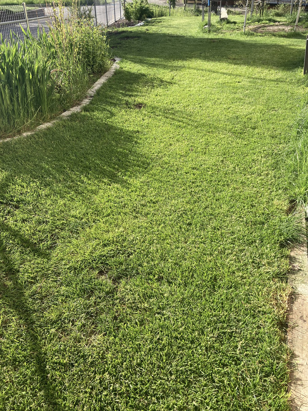 B0CD7598-F73B-45F6-B52A-74ABC2571DEA