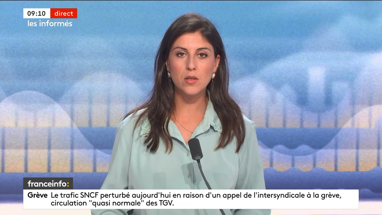 Les informés du matin (Franceinfo)_2023_10_13_08_01_68.ts_snapshot_10.03.457