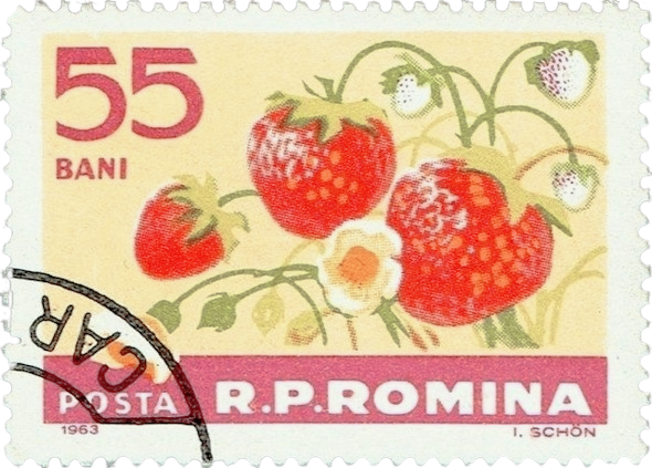 strawberry stamp