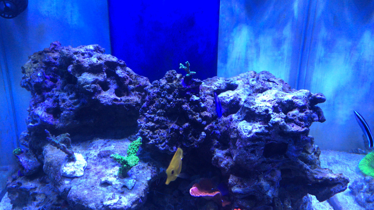 9B098FB9-C4C0-41AB-B068-809C341617F0