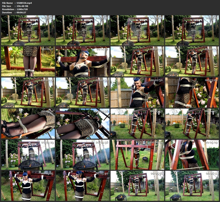 550B550.mp4