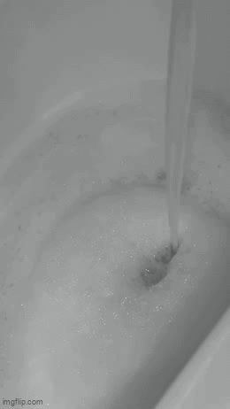 IMG-1561.gif
