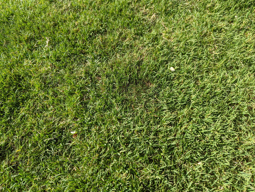 PXL_20220519_140045372