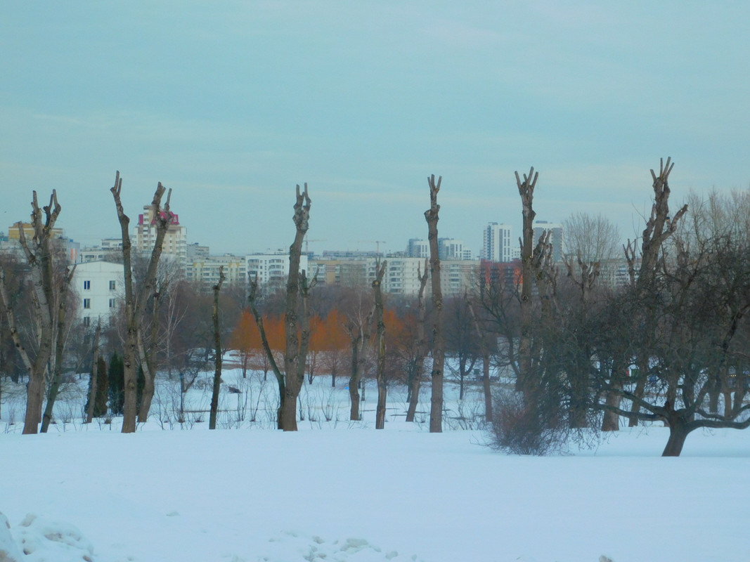 Февральское Коломенское 2023 054