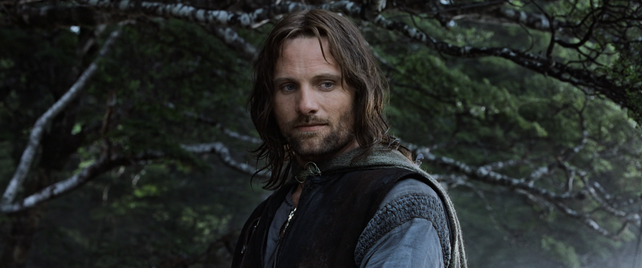 The Lord of the Rings The Fellowship of the Ring (2001) EXTENDED (1080p Bluray AV1 Opus) [NeoNyx343]