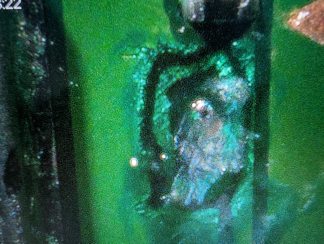 Whats App Image 2026 01 17 at 16 27 12 (1)