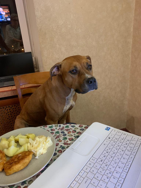 D0FBEE17-21FE-479E-8339-2FDA847ADEF2