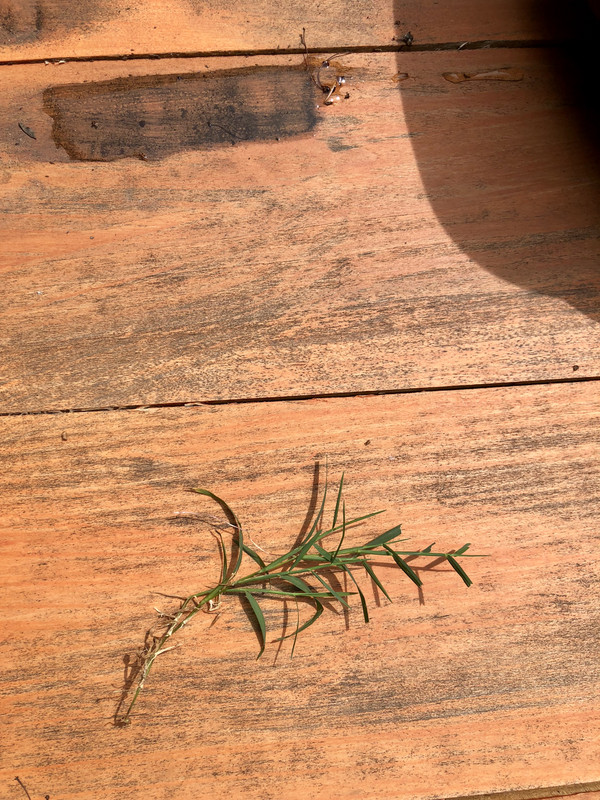 FEB06AF6-1856-4150-9C8D-1BABE98194DA