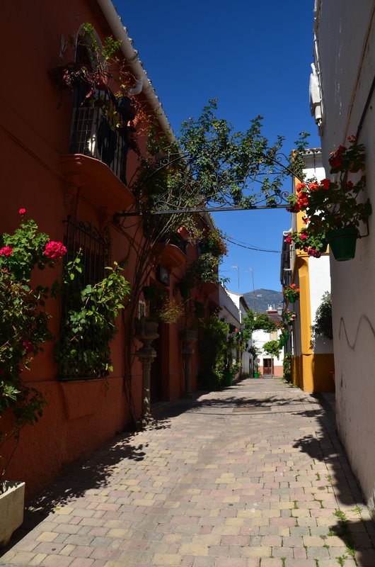ESTEPONA-9-3-2017 - Málaga y sus pueblos-2009/2017 (57)