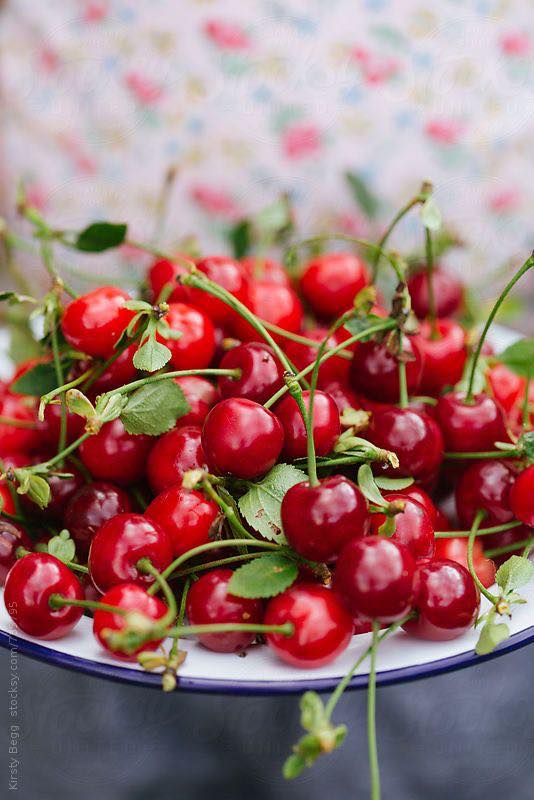 440782170_834468555381044_409416175649168374_n