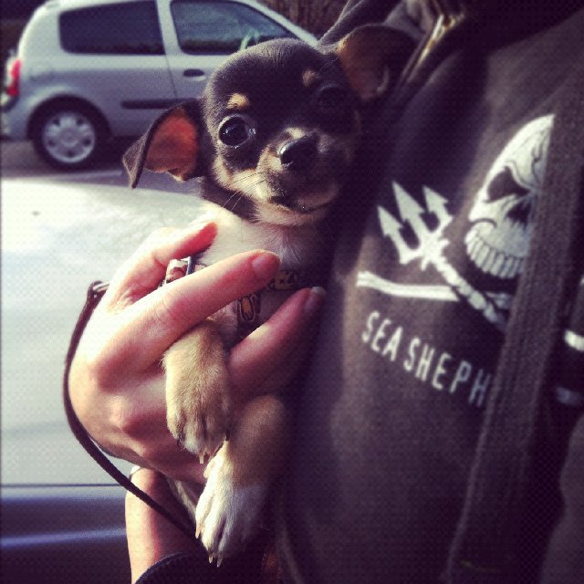 D515-EB04-1-A32-4-C5-D-AFC2-EFA7747-DFF9