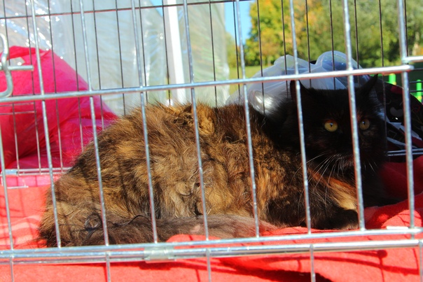 B27A747E-26E2-40C1-ADD8-63B66C9369A0