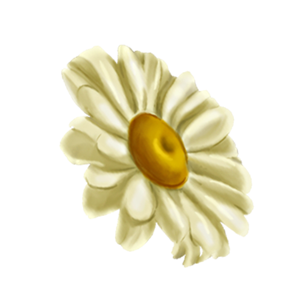 KBK_BunnyTrail (131)