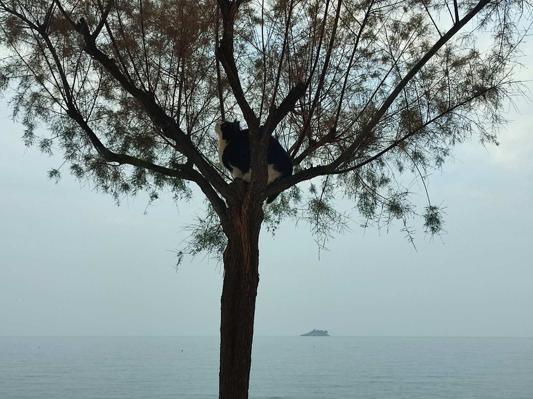 IMG-951d24982c98816598034ed5d326797b-V