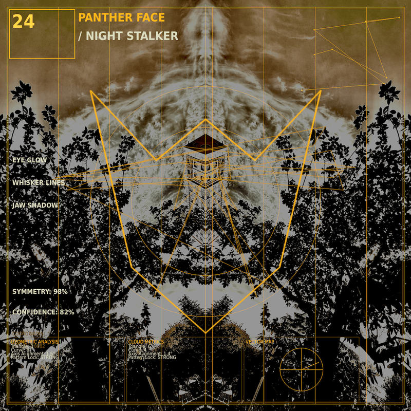 Panther face