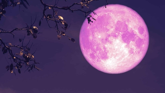 Strawberry Moon