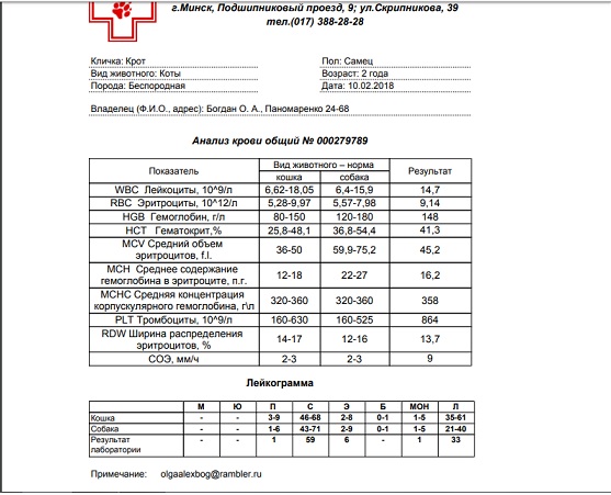 кровь общий