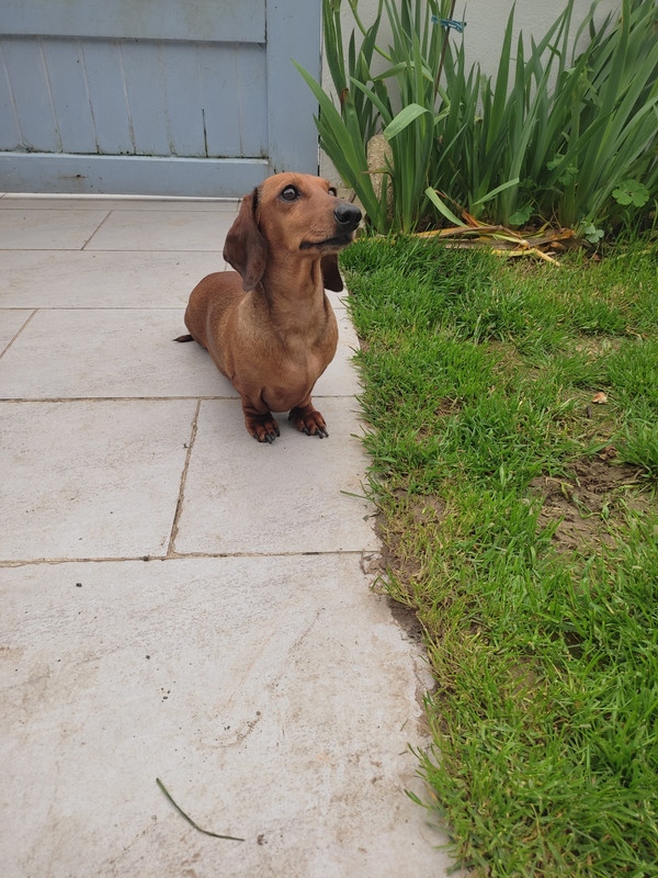 [Image: IMG-20240406-170755.jpg]