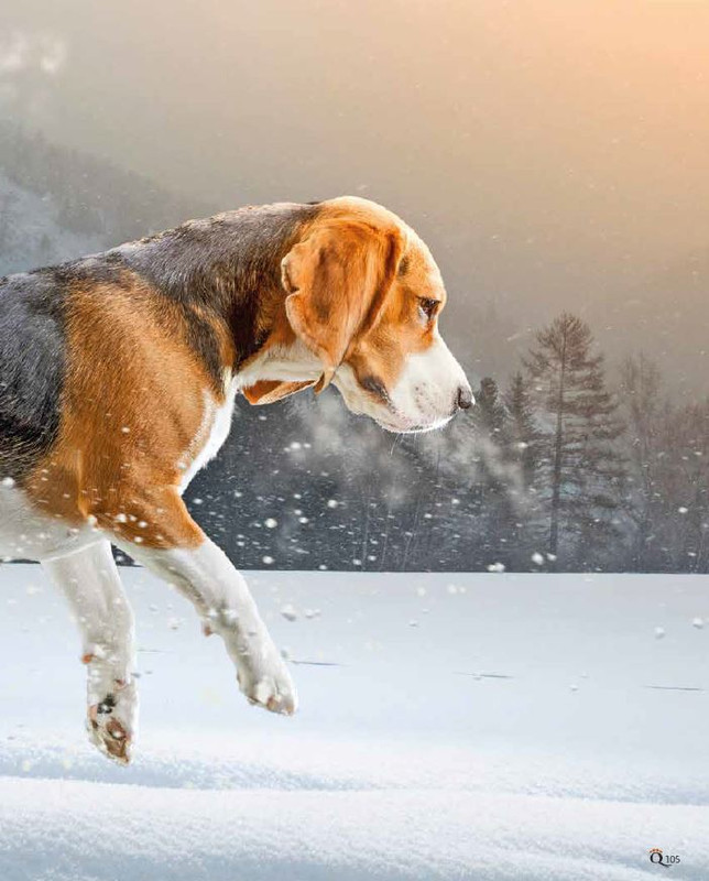 QuattroZampe Dic 2022-Gen 2023 (4)