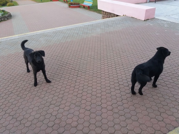 C2830A77-0C45-4A1D-9579-8D4F096732C6