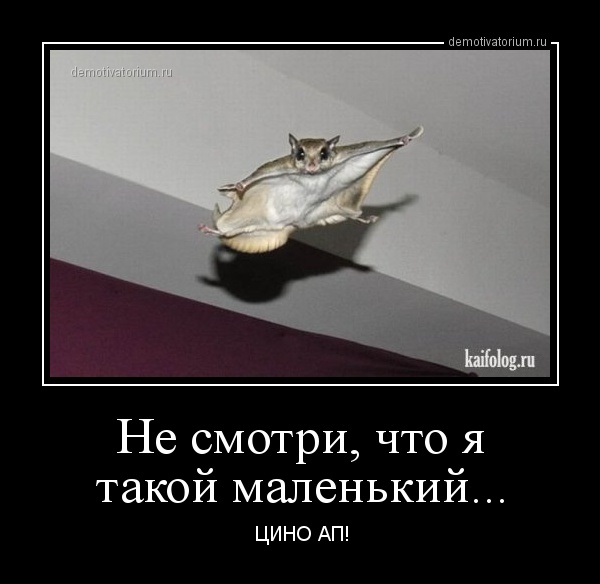 demotivatorium-ru-23614.jpg