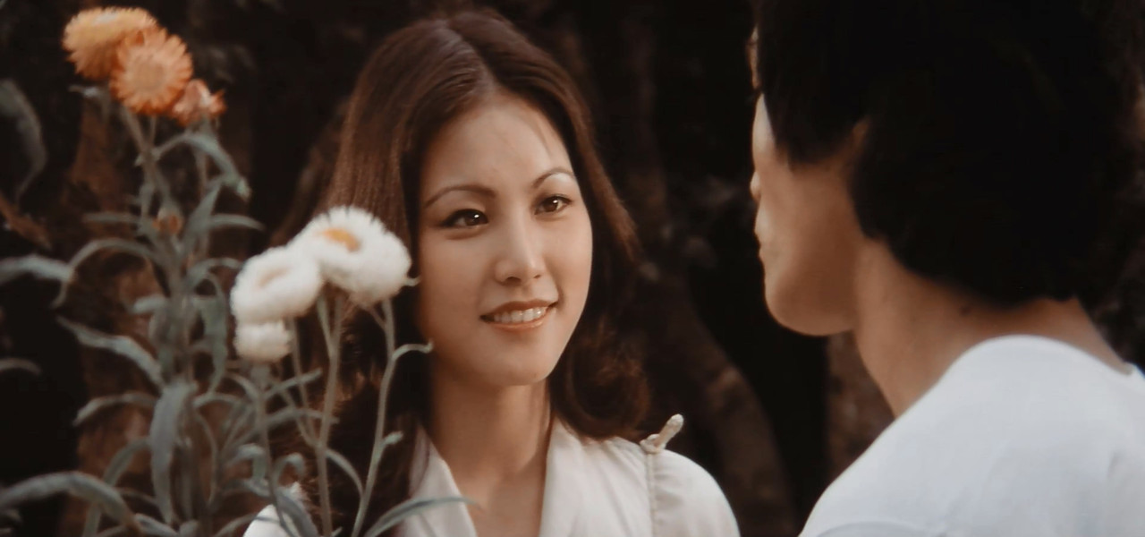 The Clones of Bruce Lee 1980 神威三猛龍 BluRay 1080p HEVC HR GZ DR