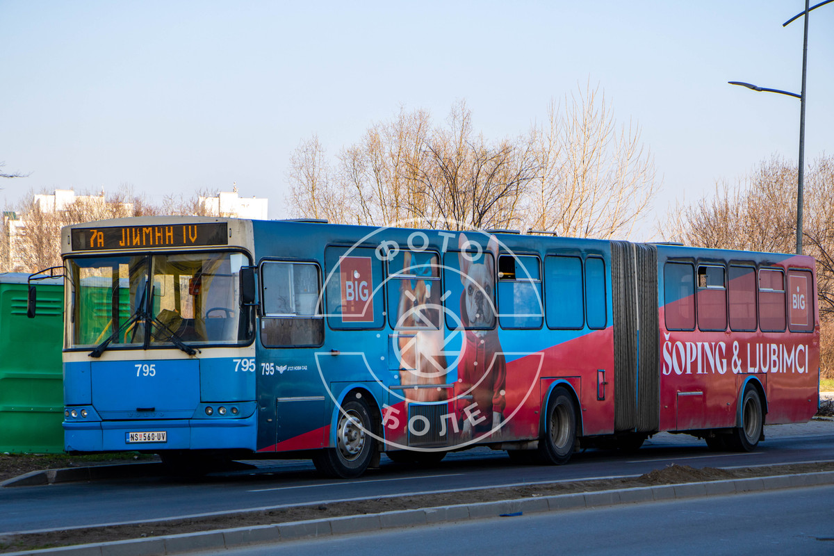 795-1.jpg