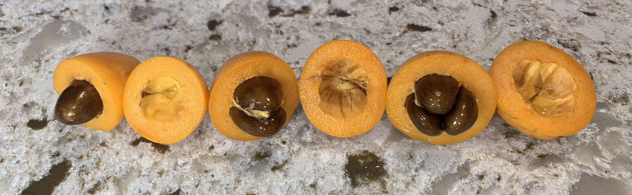 3462E535-BA94-46BB-A490-F78630C7D4E0