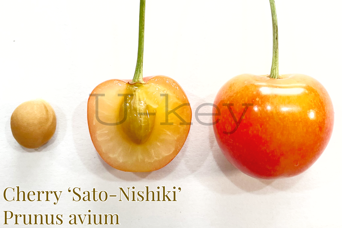 67F091EB-6D14-456D-8419-396681264455