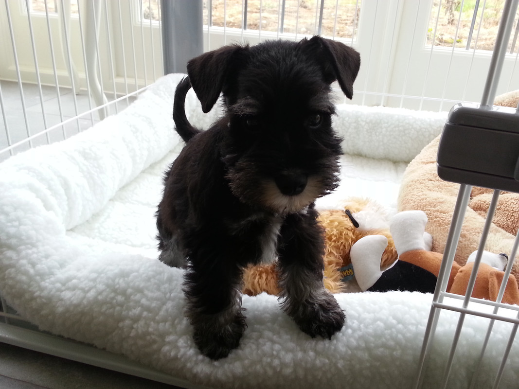 44173B4C-9C56-4D77-BDE4-ADB09A0FE70D