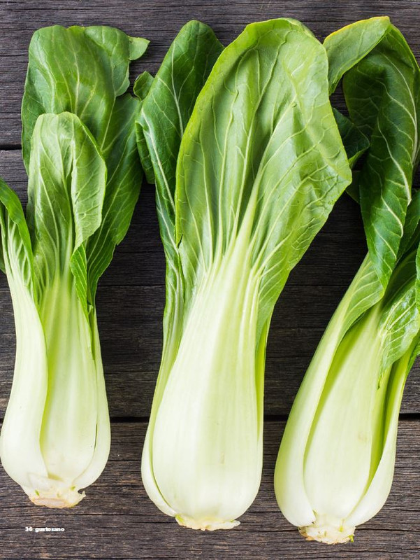 gus - Apr-Mag 2025 (11)