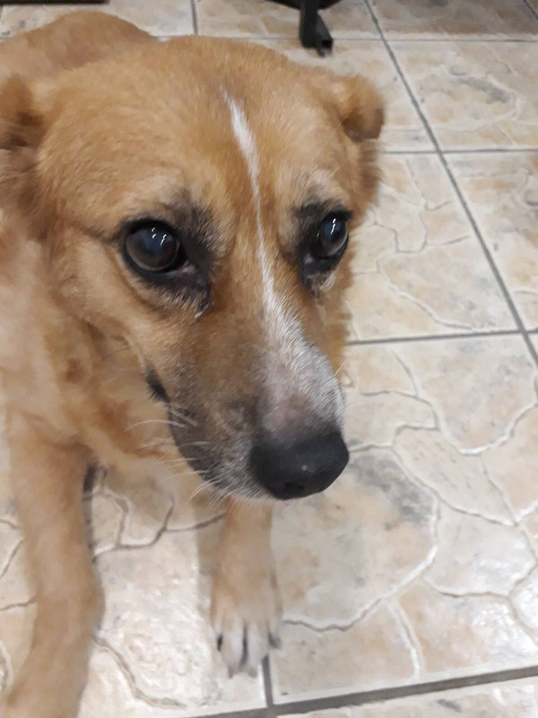 106A057D-594F-416F-9959-452C56FF5B73