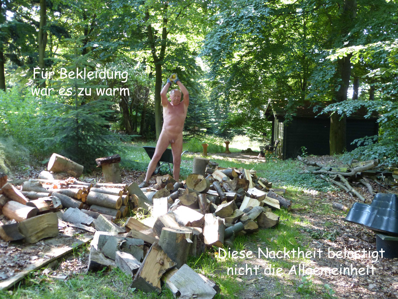 Bild