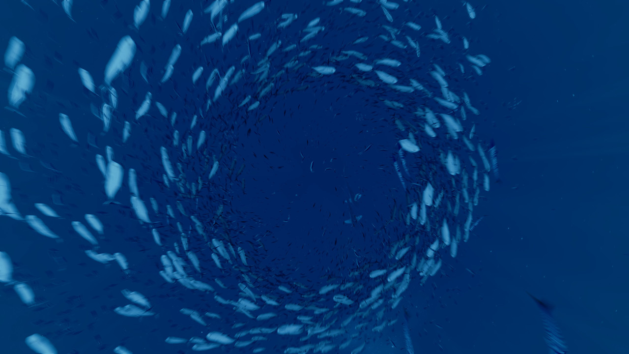 20171226125615-1