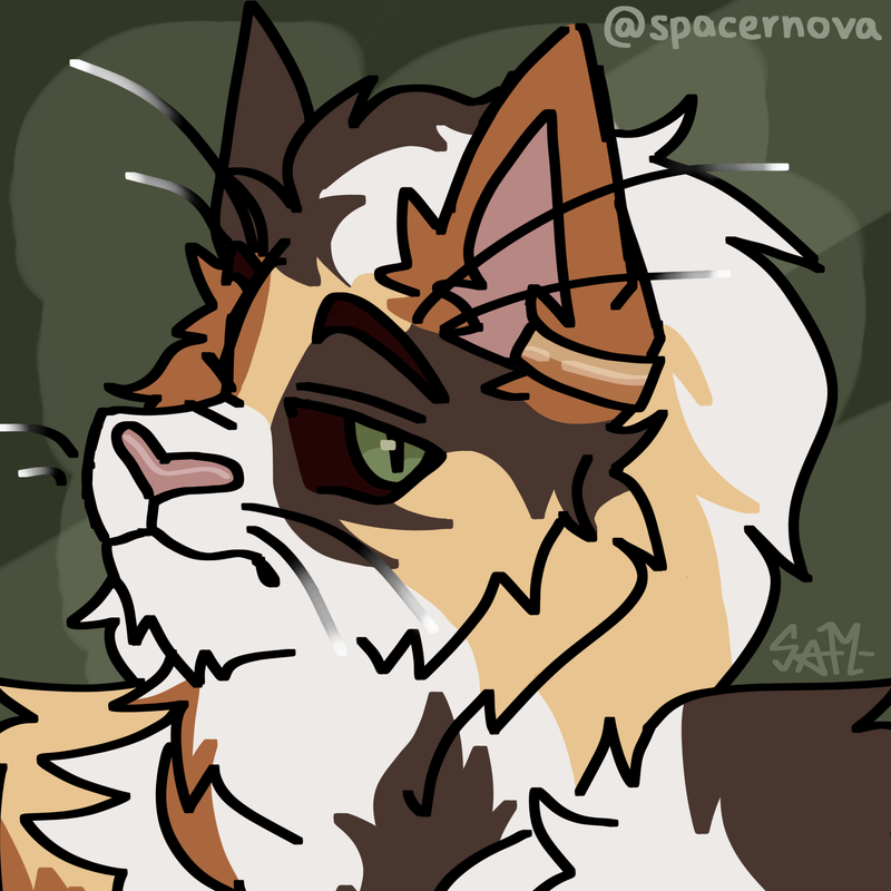 Untitled1178_20250925220420