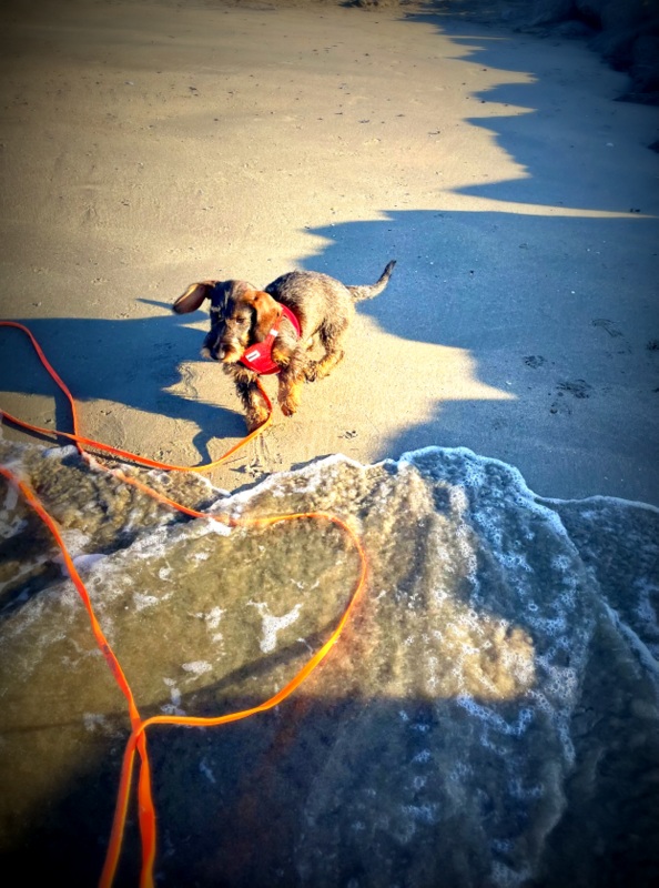 [Image: IMG-3497-1.jpg]