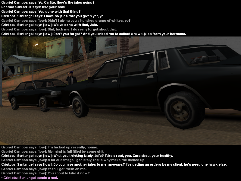 SS1.png
