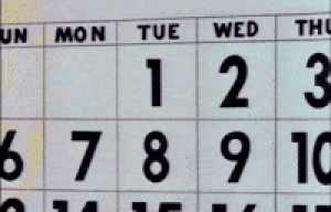 IMG-9814.gif