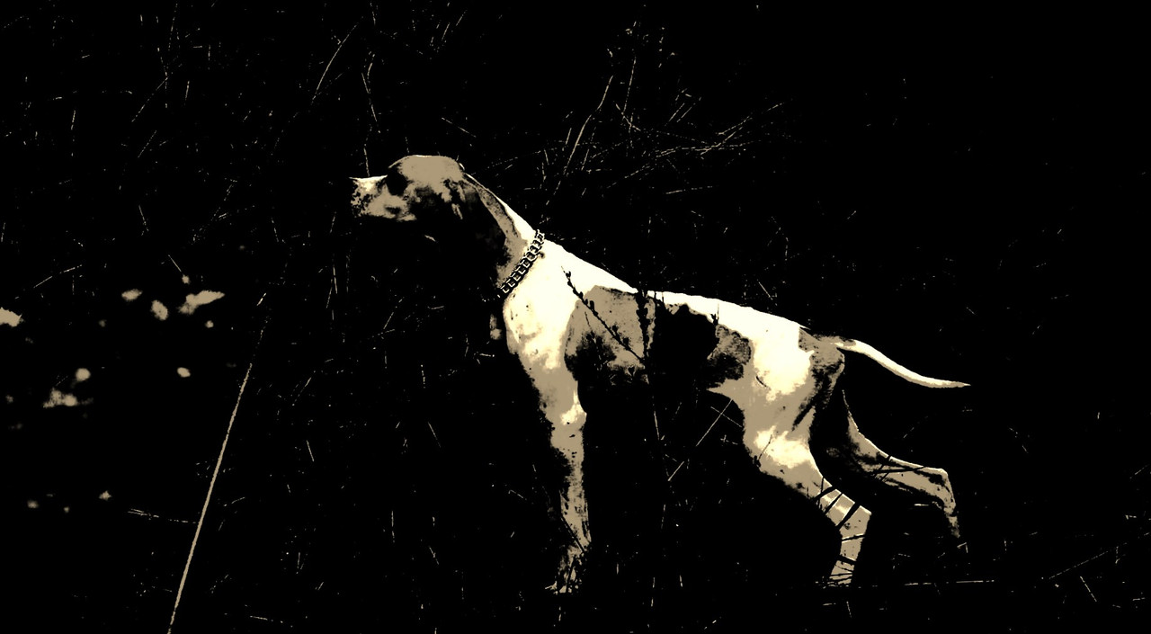 image_4cc55913e75d7[1] (2)